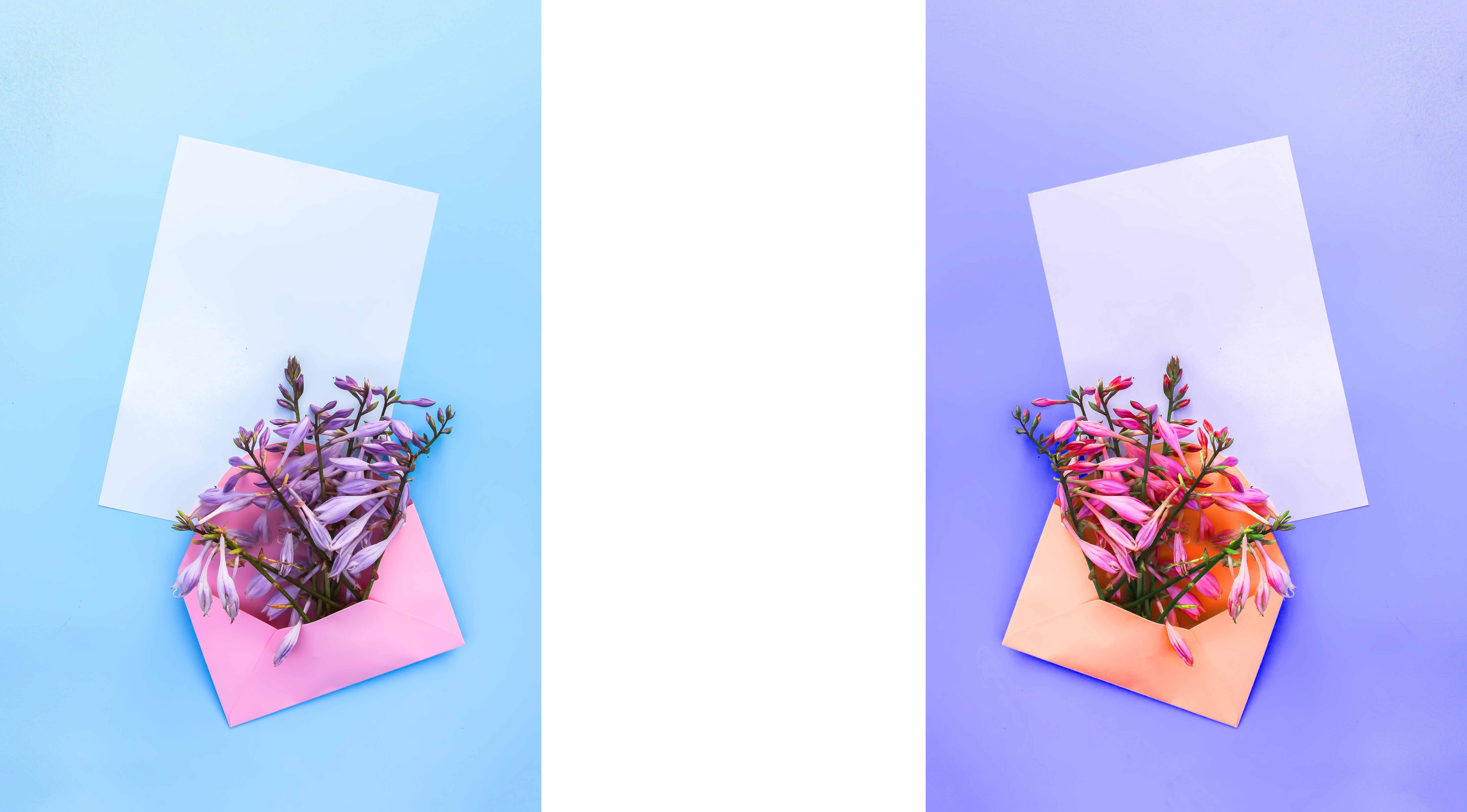 Типы приглашений: Бумажные vs Цифровые